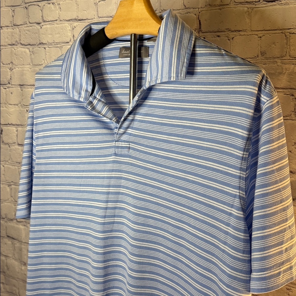 Daniel Cremieux Blue and White Striped Lyocell Polo Shirt
